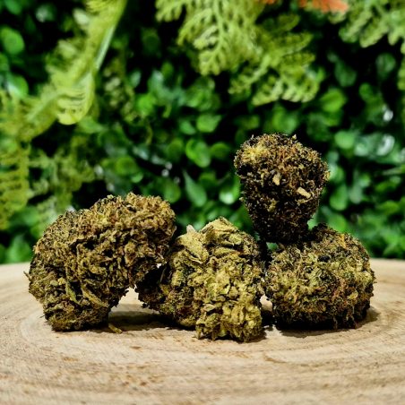 10-OH-HHC FLEUR PASSION KUSH ORANGE BUD PACA CBD SHOP ORANGE 84100