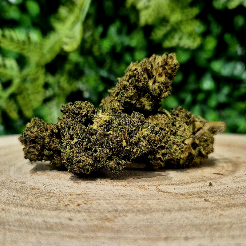 THX-THP FLEURS MANGO ORANGE BUD PACA CBD SHOP ORANGE 84100 THZ THV-N10 10-OH-HHC