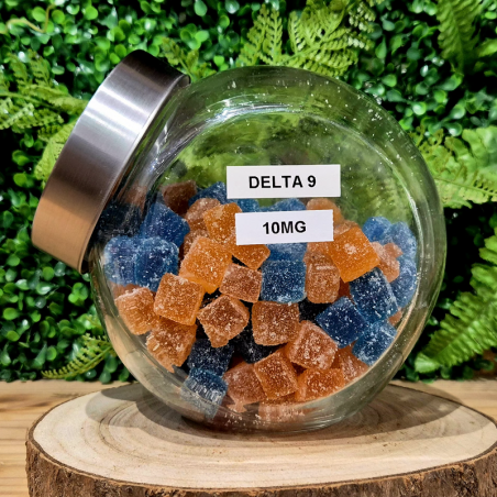 DELTA 9 THC BONBON 10 mg PATES DE FRUIT ORANGE BUD PACA CBD SHOP 84100 ORANGE