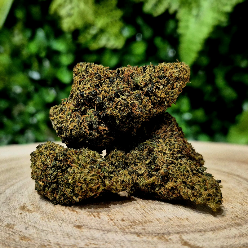 CX7 FLEURS GIRL SCOUT COOKIES ORANGE BUD PACA CBD SHOP ORANGE 84100 THV-N10 10-OH-HHC THZ