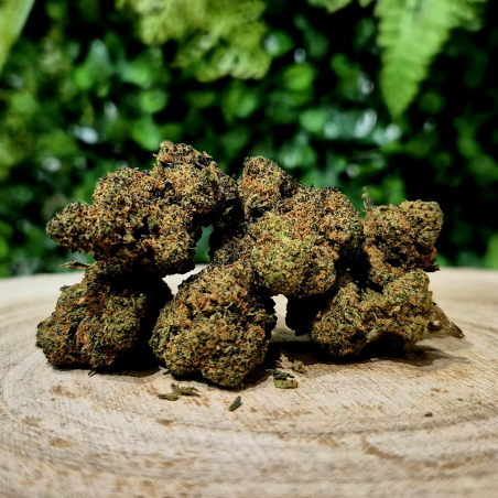 CX7 FLEURS TANGERINE ORANGE BUD PACA CBD SHOP ORANGE 84100 THV-N10 10-OH-HHC THZ