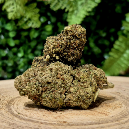 CX7 WHITE WIDOW ORANGE BUD PACA CBD SHOP ORANGE 84100 THV-N10 10-OH-HHC THZ