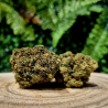 CX7 AMNESIA ORANGE BUD PACA CBD SHOP ORANGE 84100 THV-N10 10-OH-HHC THZ