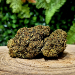 CX7 PINK PANTHER ORANGE BUD PACA CBD SHOP ORANGE 84100 THV-N10 10-OH-HHC THZ