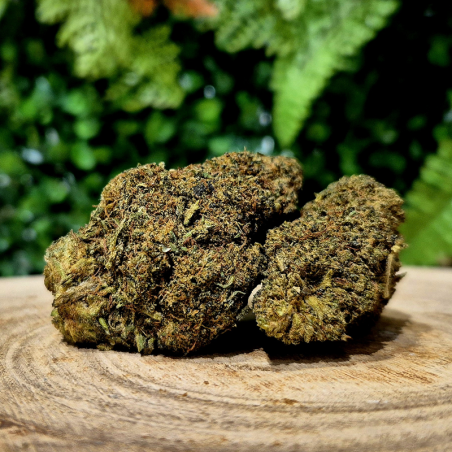 CX7 PINK PANTHER ORANGE BUD PACA CBD SHOP ORANGE 84100 THV-N10 10-OH-HHC THZ