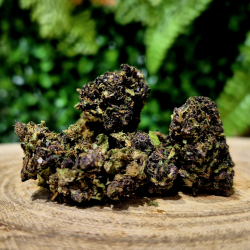 CX7 PURPLE ORANGE BUD PACA CBD SHOP ORANGE 84100 THV-N10 10-OH-HHC THZ