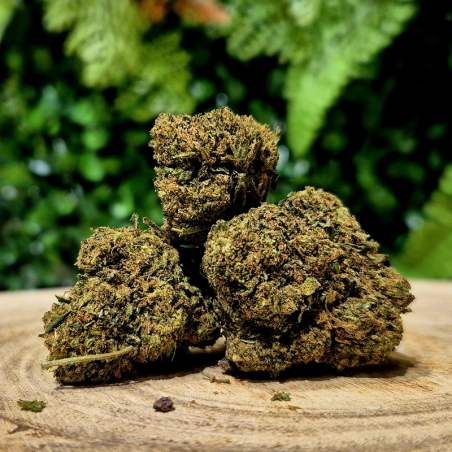 CX7 SKYWALKER ORANGE BUD PACA CBD SHOP ORANGE 84100 THV-N10 10-OH-HHC THZ