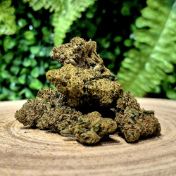 CX7 SOUL ASSASSIN ORANGE BUD PACA CBD SHOP ORANGE 84100 THV-N10 10-OH-HHC THZ