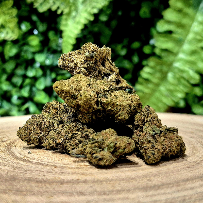 CX7 SOUL ASSASSIN ORANGE BUD PACA CBD SHOP ORANGE 84100 THV-N10 10-OH-HHC THZ