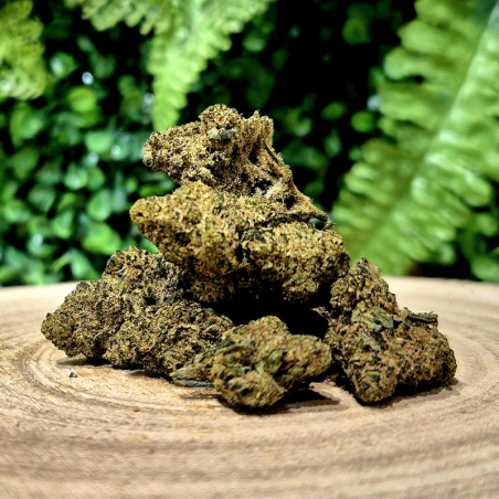 CX7 SOUL ASSASSIN ORANGE BUD PACA CBD SHOP ORANGE 84100 THV-N10 10-OH-HHC THZ