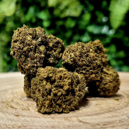 CX7 SOUL ASSASSIN ORANGE BUD PACA CBD SHOP ORANGE 84100 THV-N10 10-OH-HHC THZ