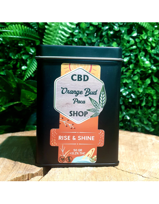 RISE & SHINE INFUSION TISANE ROOIBOS 25%  CBD CHANVRE QUALITE PREMIUM ORANGE BUD PACA CBD CRD SHOP