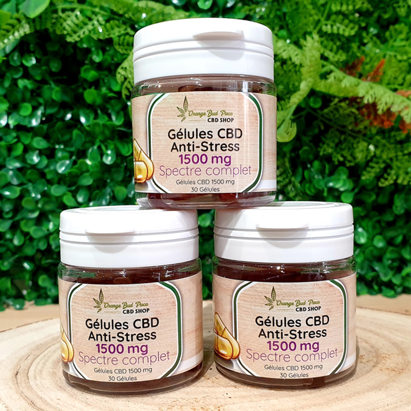 Gélules ANTI-STRESS CBD Rhodiola Mélisse