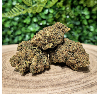 NORTHERN LIGHT FLEURS CBD PREMIUM ORANGE BUD PACA CBD & CRD SHOP 84100