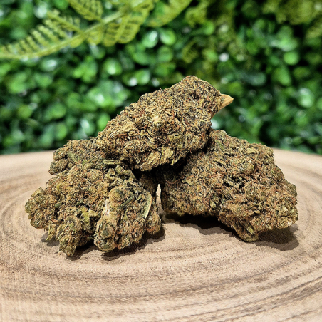 NORTHERN LIGHT FLEURS CBD PREMIUM ORANGE BUD PACA CBD & CRD SHOP 84100