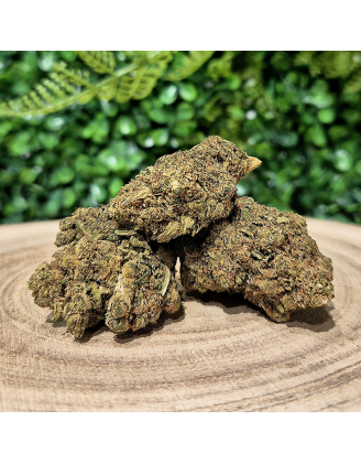 NORTHERN LIGHT FLEURS CBD PREMIUM ORANGE BUD PACA CBD & CRD SHOP 84100