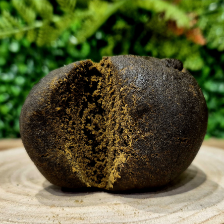 10-OH-HHC HASH 25% PABLO REVULTO ORANGE BUD PACA CBD CRD SHOP ORANGE 84100