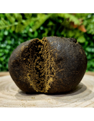 10-OH-HHC HASH 25% PABLO REVULTO ORANGE BUD PACA CBD CRD SHOP ORANGE 84100