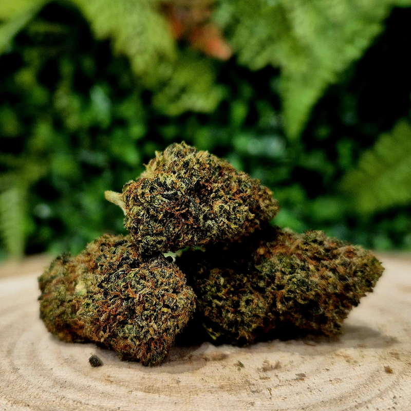 BLUE BERRY - Fleurs 25% 10-OH-HHC BLUE BERRY - Fleurs 25% 10-OH-HHC