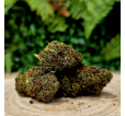 BLUE BERRY - Fleurs 25% 10-OH-HHC BLUE BERRY - Fleurs 25% 10-OH-HHC