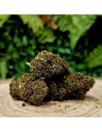 10-OH-HHC FLEUR BLUEBERRY ORANGE BUD PACA CBD CRD SHOP ORANGE 84100