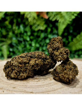 10-OH-HHC FLEUR GAZ BERRY ORANGE BUD PACA CBD CRD SHOP ORANGE 84100