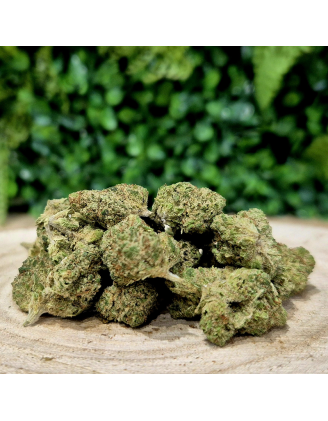 MALABR FLEURS CBD HYDROPONIE INDOOR PREMIUM ORANGE BUD PACA CBD & 10-OH-HHC SHOP
