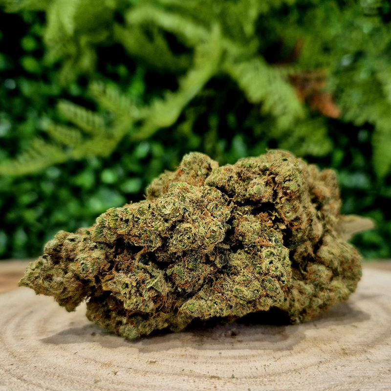 GELATO - Fleurs 25% 10-OH-HHC GELATO - Fleurs 25% 10-OH-HHC