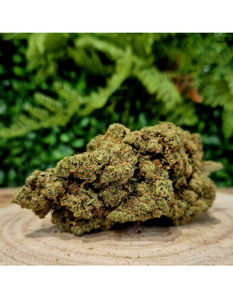 10-OH-HHC FLEUR GELATO ORANGE BUD PACA CBD CRD SHOP ORANGE 84100