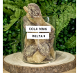 Langue de chat DELTA 9 THC 30mg Cola Langue de chat DELTA 9 THC 30mg Cola