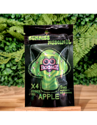SHROOMZ BOOMZ GUMMIES MUSCIMOLE GOUT POMME ORANGE BUD PACA CBD SHOP 84100 ORANGE
