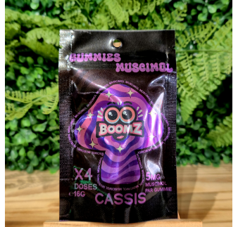 SHROOMZ BOOMZ GUMMIES MUSCIMOL GOUT CASSIS ORANGE BUD PACA CBD SHOP 84100 ORANGE