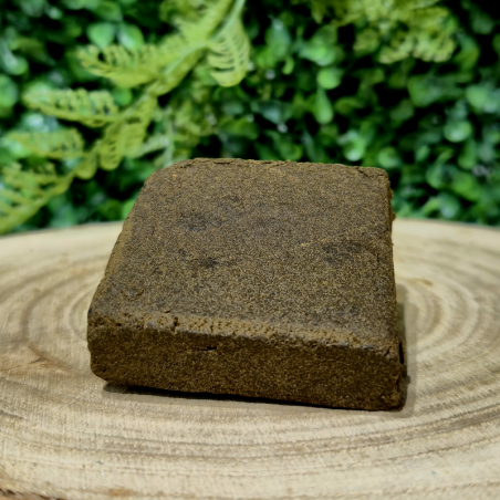 NL-1 POLLEN LE MOUSSEUX ORANGE BUD PACA CBD SHOP ORANGE 84100 CBX NL-1 10-OH-HHC