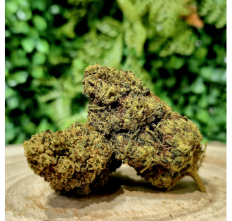 10-OH-HHC FLEUR SUPER LEMON ORANGE BUD PACA CBD CRD SHOP ORANGE 84100