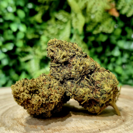 10-OH-HHC FLEUR SUPER LEMON ORANGE BUD PACA CBD CRD SHOP ORANGE 84100