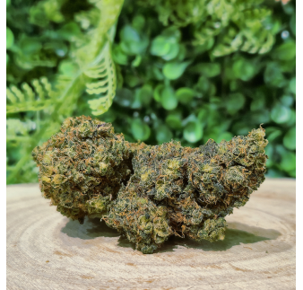 10-OH-HHC FLEUR GORILLA GLUE ORANGE BUD PACA CBD CRD SHOP ORANGE 84100