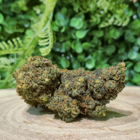 10-OH-HHC FLEUR GORILLA GLUE ORANGE BUD PACA CBD CRD SHOP ORANGE 84100