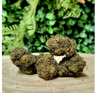 10-OH-HHC FLEUR ALIEN OG ORANGE BUD PACA CBD CRD SHOP ORANGE 84100