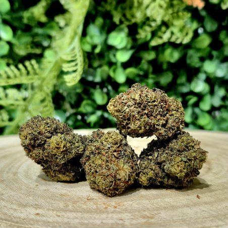 10-OH-HHC FLEUR ALIEN OG ORANGE BUD PACA CBD CRD SHOP ORANGE 84100