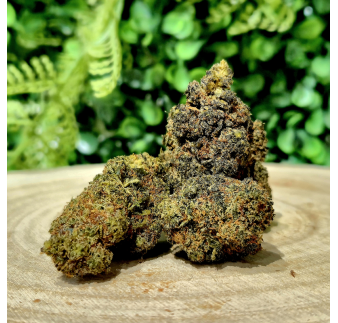 10-OH-HHC FLEUR MELON CAKE ORANGE BUD PACA CBD CRD SHOP ORANGE 84100