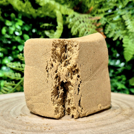 THZ CALYPSO POLLEN MOUSSEU ORANGE BUD PACA CBD SHOP ORANGE 84100 CBX NL-1 10-OH-HHC