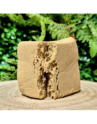 THZ CALYPSO POLLEN MOUSSEU ORANGE BUD PACA CBD SHOP ORANGE 84100 CBX NL-1 10-OH-HHC