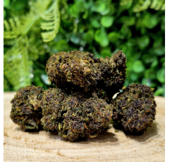 10-OH-HHC FLEUR TROPICANA GELATO ORANGE BUD PACA CBD CRD SHOP ORANGE 84100