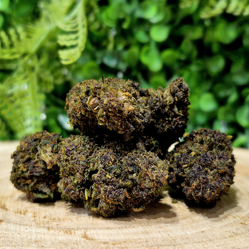 TROPICANA GELATO - Fleurs 25% 10-OH-HHC