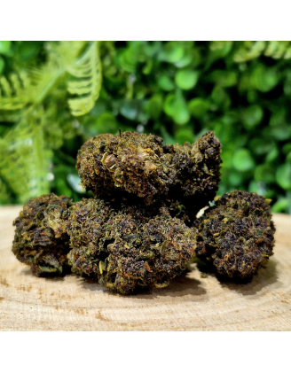 10-OH-HHC FLEUR TROPICANA GELATO ORANGE BUD PACA CBD CRD SHOP ORANGE 84100