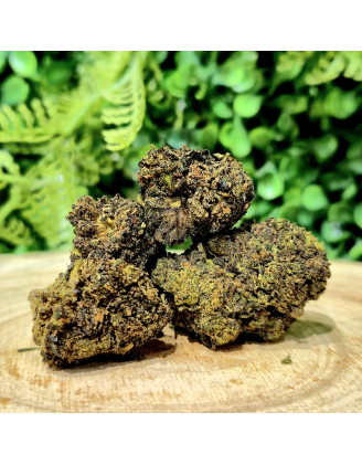 10-OH-HHC FLEUR ATOMIC APPLE ORANGE BUD PACA CBD SHOP ORANGE 84100