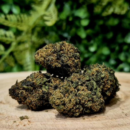 10-OH-HHC FLEUR DIESEL ORANGE BUD PACA CBD CRD SHOP ORANGE 84100