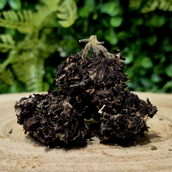 PURPLE FLEURS CBD HYDROPONIE ORANGE BUD PACA CBD THZ 10-OH-HHC SHOP 84100