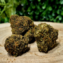 ATOMIC APPLE FLEURS CBD HYDROPONIE ORANGE BUD PACA CBD THZ 10-OH-HHC SHOP 84100