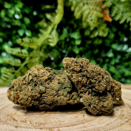 CBD SHOP 84100 FLEUR CBD LEMON CHERRY boutique ORANGE BUD PACA CBD THZ Shop